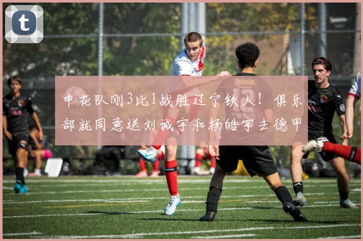 申花队刚3比1战胜辽宁铁人！俱乐部就同意送刘诚宇和杨皓宇去德甲多特留洋，值得期待_斯卢茨基_中超_比赛