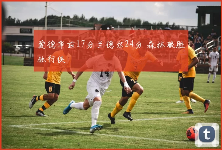 爱德华兹17分兰德尔24分 森林狼胜独行侠