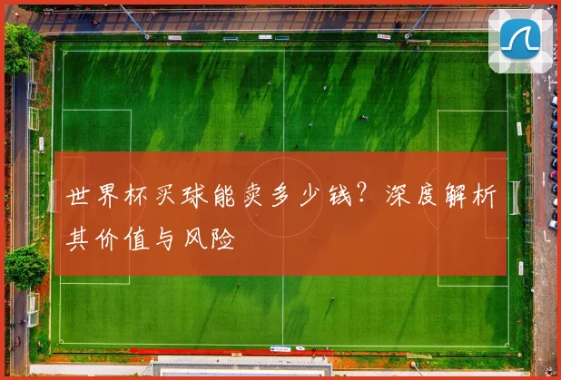 世界杯买球能卖多少钱？深度解析其价值与风险