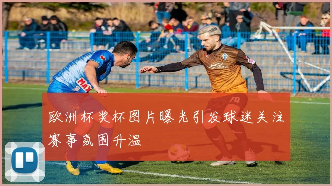 欧洲杯奖杯图片曝光引发球迷关注赛事氛围升温