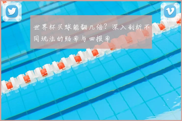 世界杯买球能翻几倍？深入剖析不同玩法的赔率与回报率
